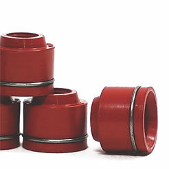 Valve Seal.jpg