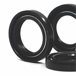 Oil Seal.jpg